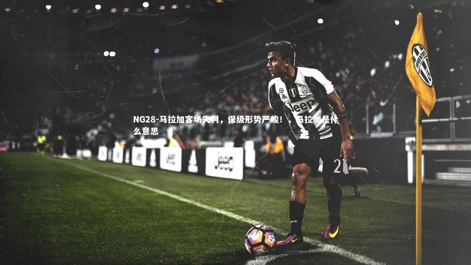 NG28-马拉加客场失利，保级形势严峻！，马拉加是什么意思